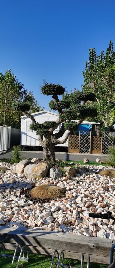 Les Sables Du Midi Hotel Valras-Plage Kültér fotó